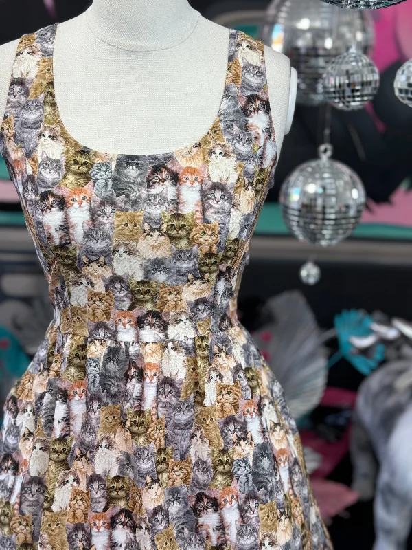 Limited Availability layered dressCats Fit & Flare Dress