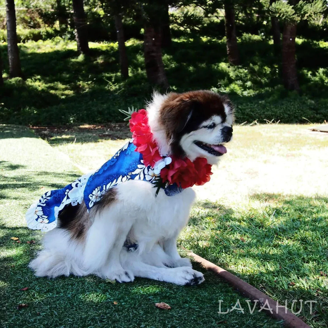 Clearance Items Electric Blue Hawaiian Dog Dress