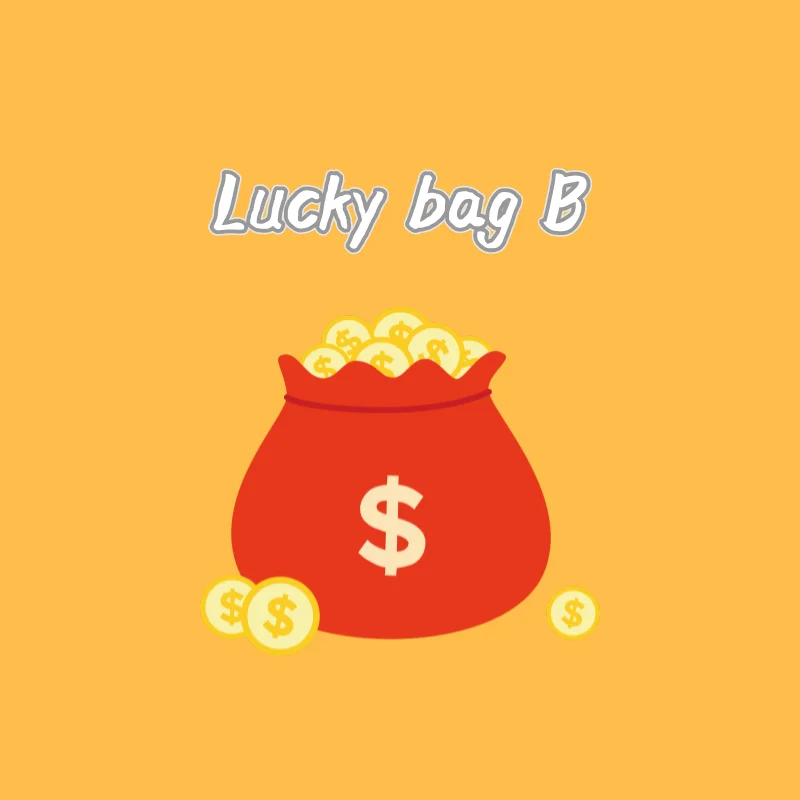 lucky bag B (dress*2+ top*1 +accessory*1)