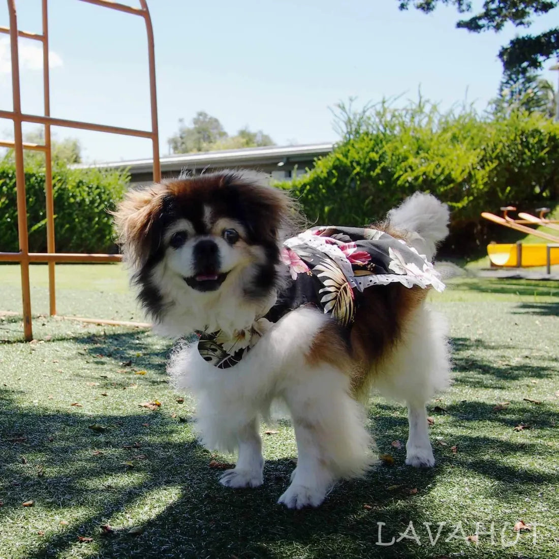 Final Sale Kopikala Black Hawaiian Dog Dress