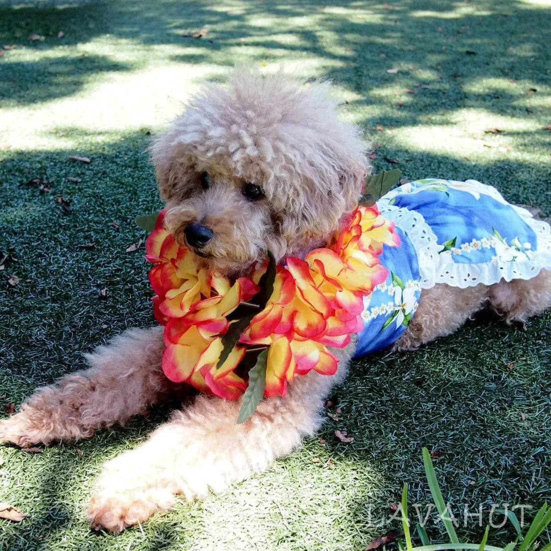 Big Discounts Orchid Purple Hawaiian Dog Dress