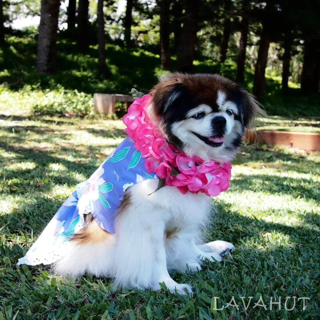 Mega Sale Luau Purple Hawaiian Dog Dress